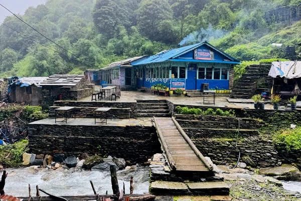 Tea House Banthanti Annapurna Region